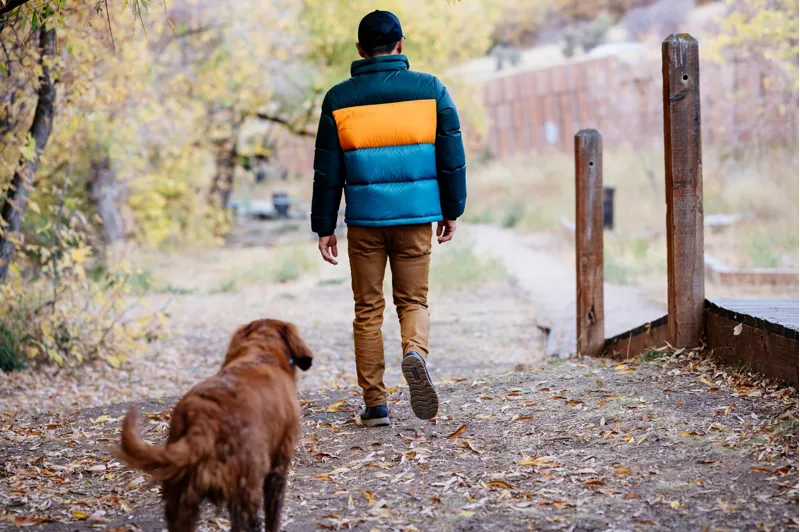 Cotopaxi Mens Solazo Down Jacket - Dark Forest - Submarine-7